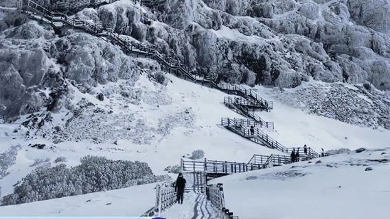 【2-8人純玩拼小團】昆明轎子雪山一日遊｜大套票｜上門接送