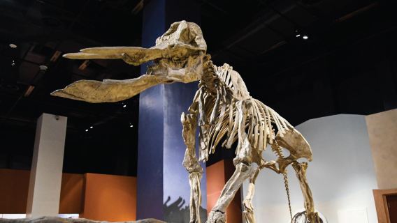 Discover Riyadh City Package - 3 Days / 2 Nights in Rosh Rotana 5* Hotel Riyadh