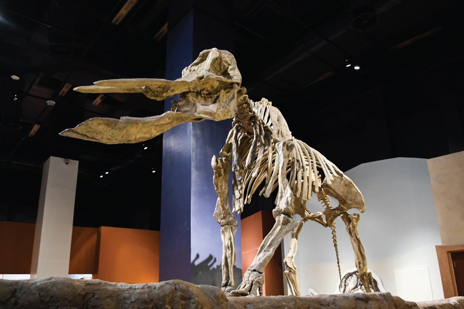 Discover Riyadh City Package - 3 Days / 2 Nights in Rosh Rotana 5* Hotel Riyadh