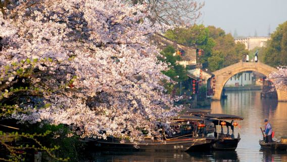 Thượng Hải khứ hồi: Tây Đường + thị trấn sô cô la|một đơn một đoàn|Đa ngôn ngữ Trung-Anh - Thuê xe riêng theo yêu cầu#