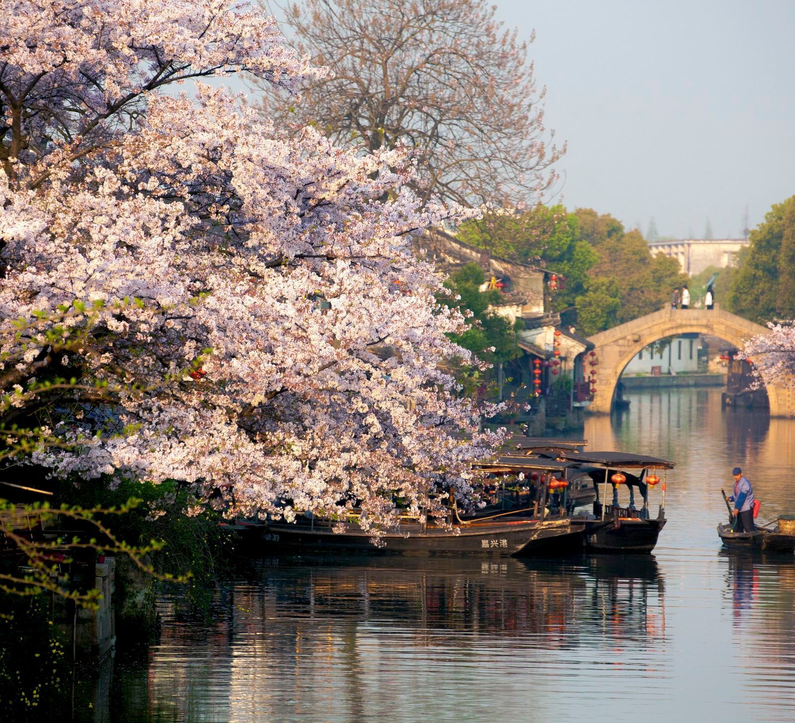 Shanghai Hin- und Rückfahrt: Xitang + Schokoladendorf|Ein Auftrag, eine Gruppe|Mehrsprachig (Chinesisch, Englisch) – maßgeschneiderter Privattransfer