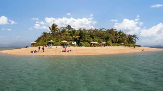 Port Douglas tour trong ngày đến đảo Low Isles bao gồm thiết bị lặn biển