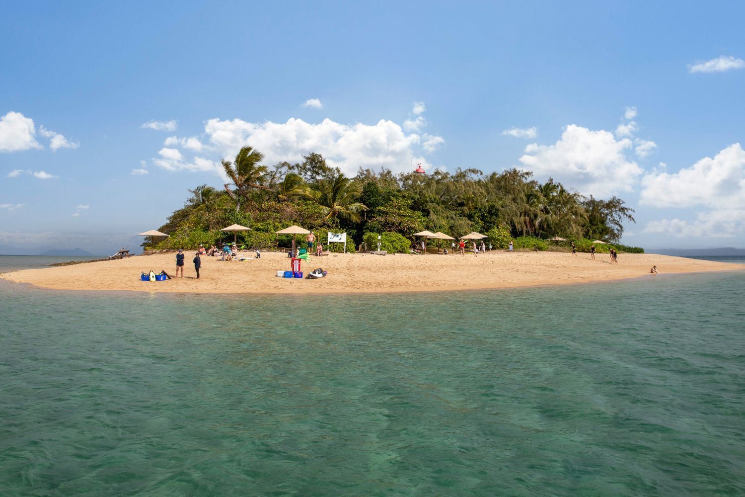 Excursión de medio día a Low Isles desde Port Douglas con equipo de snorkel incluido