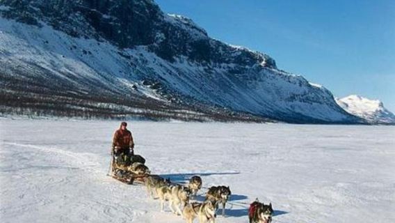 芬蘭羅瓦涅米教堂+北極圈科學博物館一日遊/行程可調-中文專車