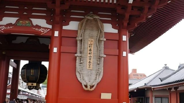 日本東京+箱根空中纜車+大湧谷一日遊/行程可調-可定制多日