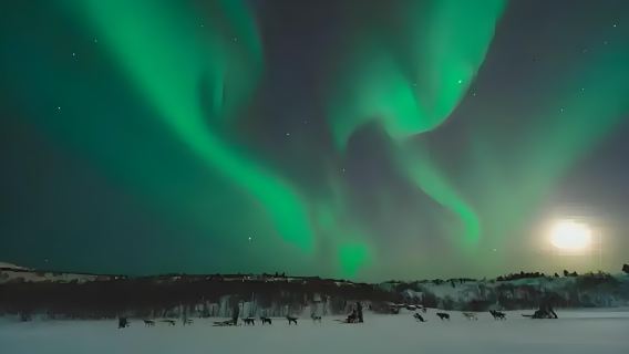 сезонное предложение|Исландия: волшебный вечер с северным сиянием (дневной тур, англоязычная группа)