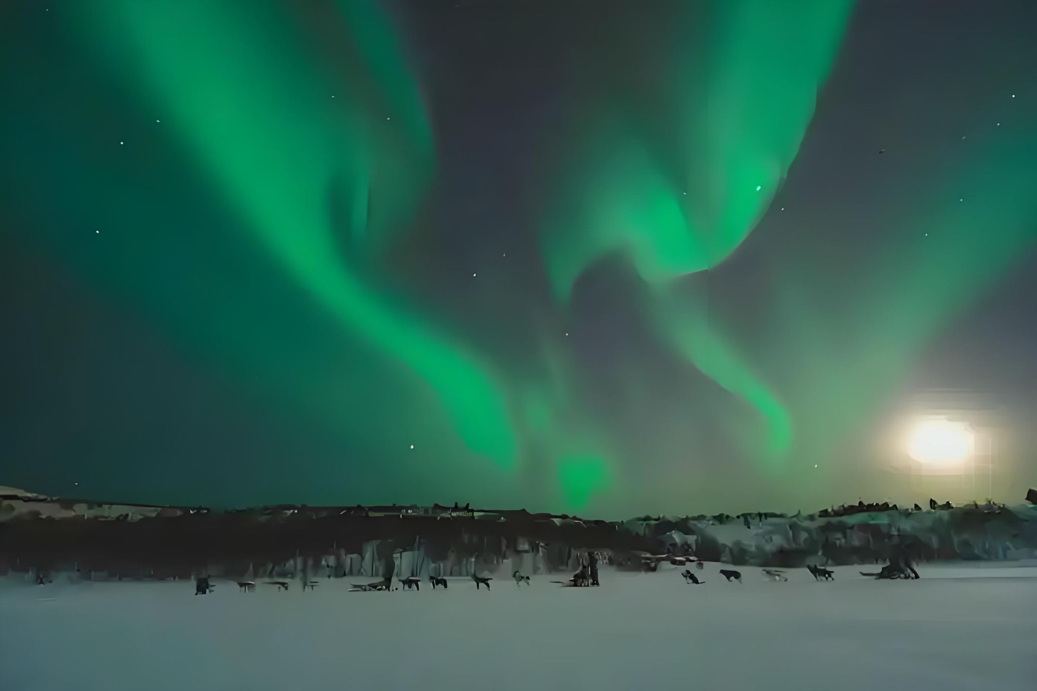 Stagione limitata|Aurora boreale in Islanda: magico tour giornaliero notturno (gruppo in inglese)
