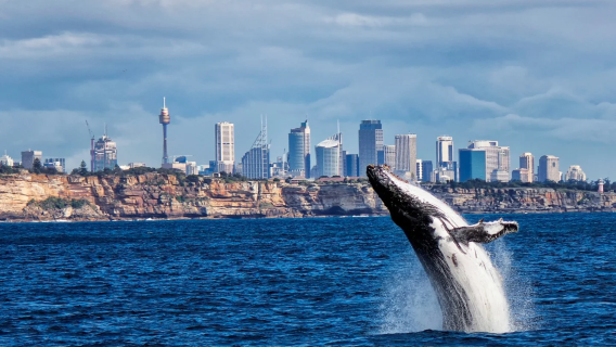 Sydney