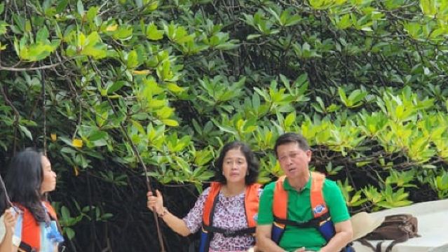 Dari Lembongan: Tur Kayak/Paddleboard/Perahu Mangrove