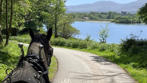 Recorridos en carruaje por el Parque Nacional y los Lagos de Killarney