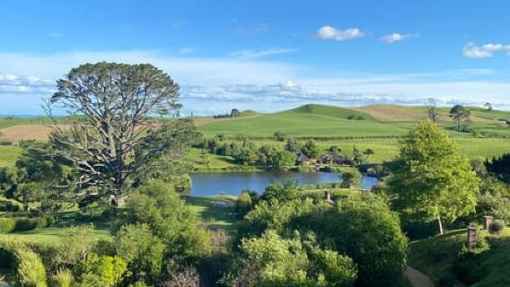 Waitomo CavesTours