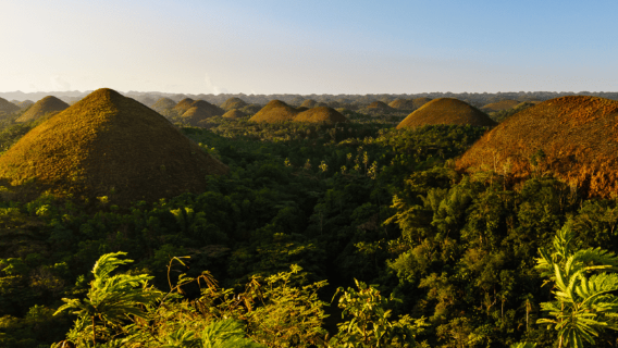 Bohol: Countryside Tour with Tarsiers and Chocolate Hills