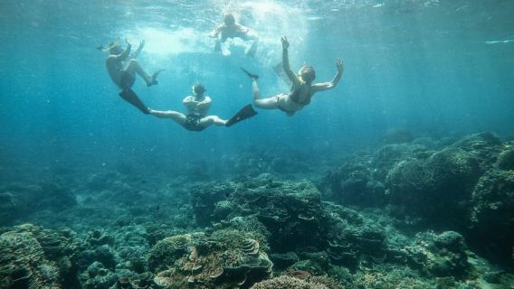 Desde Gili Air: Buceo con tortugas y estatua submarina
