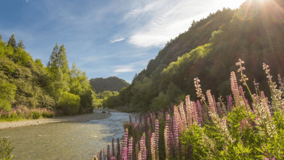 Queenstown: Ale Trail Self-Guided Bike Tour with Shuttle