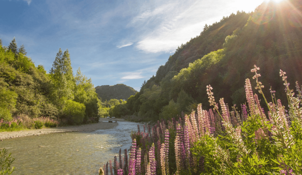 クイーンズタウン:エールトレイル・セルフガイド・バイクツアー(シャトル付き)
