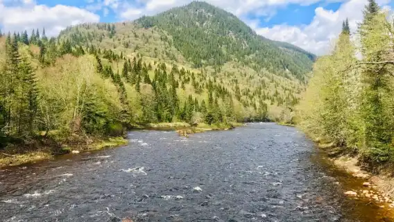 Quebec City: Guided Hike in Jacques-Cartier National Park