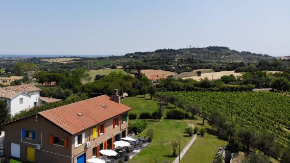 Rimini: Degustazioni di vini DOC San Valentino