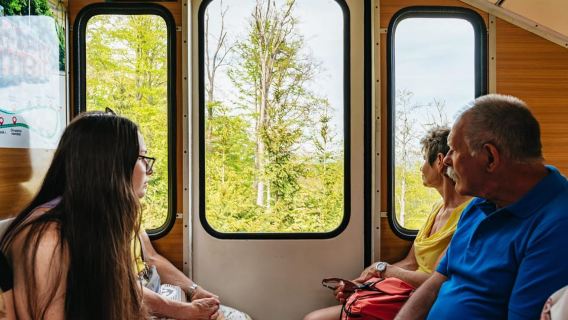 Praga: gita di un giorno a Karlovy Vary con torre di guardia e funicolare