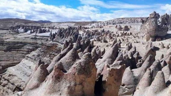 Ngày trọn vẹn Thác Pillones và Rừng đá
