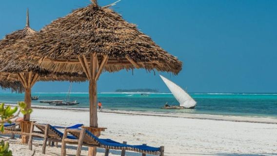 Zanzibar: Dolphin Watching and Snorkeling Tour