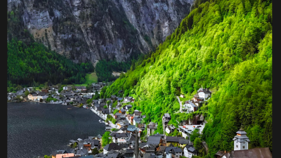 邁阿密 溫伍德藝術區+南海灘+小哈瓦那+設計區+比斯坎灣