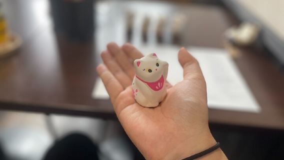 Токио · Янака: индивидуальная экскурсия с гидом по дизайну и росписи манящих котиков