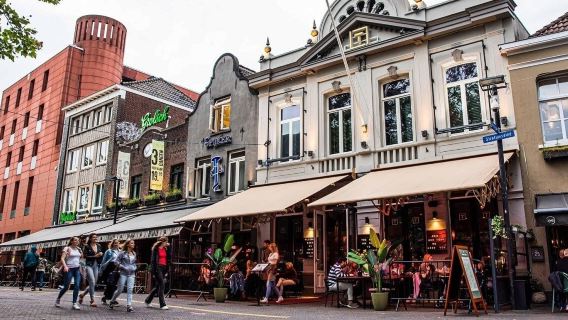 Private tour of EIndhoven