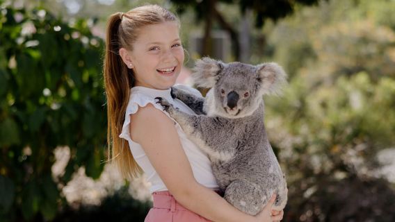Gold Coast [Currumbin Wildlife Sanctuary] Optional Koala Photo Experience