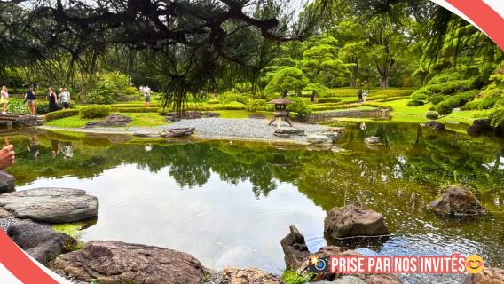 Tokyo : Visite à pied du Palais impérial, des shoguns et des jardins (GUIDE FRANÇAIS)