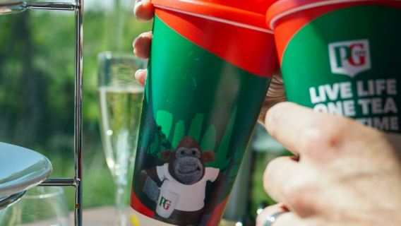 Consigli PG: tè pomeridiano e tour panoramico in autobus