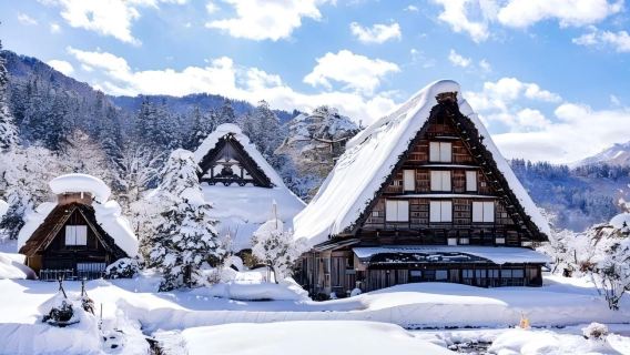 1-day tour of Shirakawa-go + Hida Takayama + "Your Name" in Nagoya, Japan