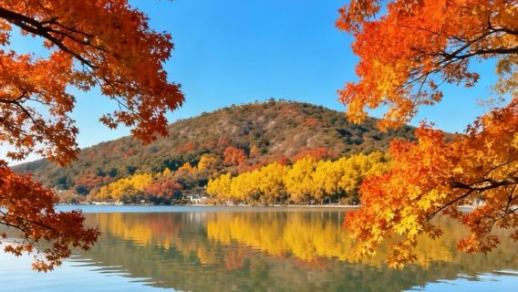 Suzhou : ancienne ville de Mudu + île de Xishan sur le lac Taihu|Voiture avec chauffeur personnalisée en chinois, anglais et autres langues