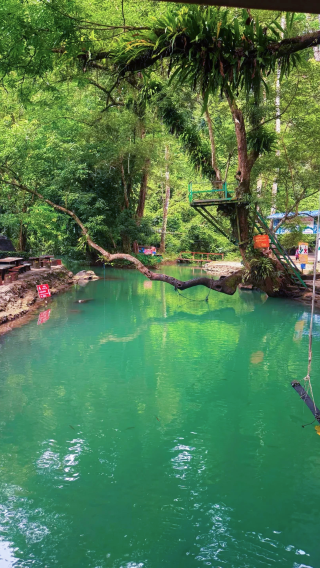ทัวร์ 1 วันวังเวียง + ซิปไลน์ป่า + เรือคายัคแม่น้ำน้ำสอง + บลูลากูน 3 + บริการรถรับส่ง