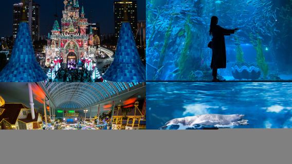 Lotte World Adventure+Lotte World Aquarium1-day Tour