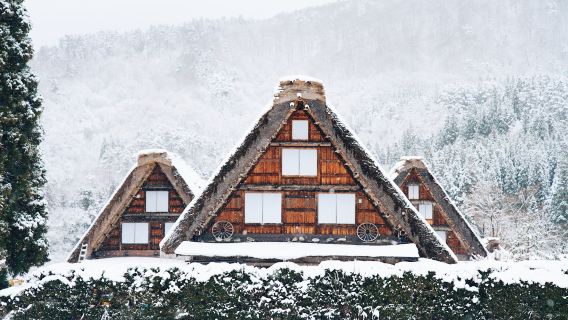 Excursión de un día a Nagoya, Takayama y las aldeas históricas de Shirakawa-go y Gokayama, Patrimonio de la Humanidad