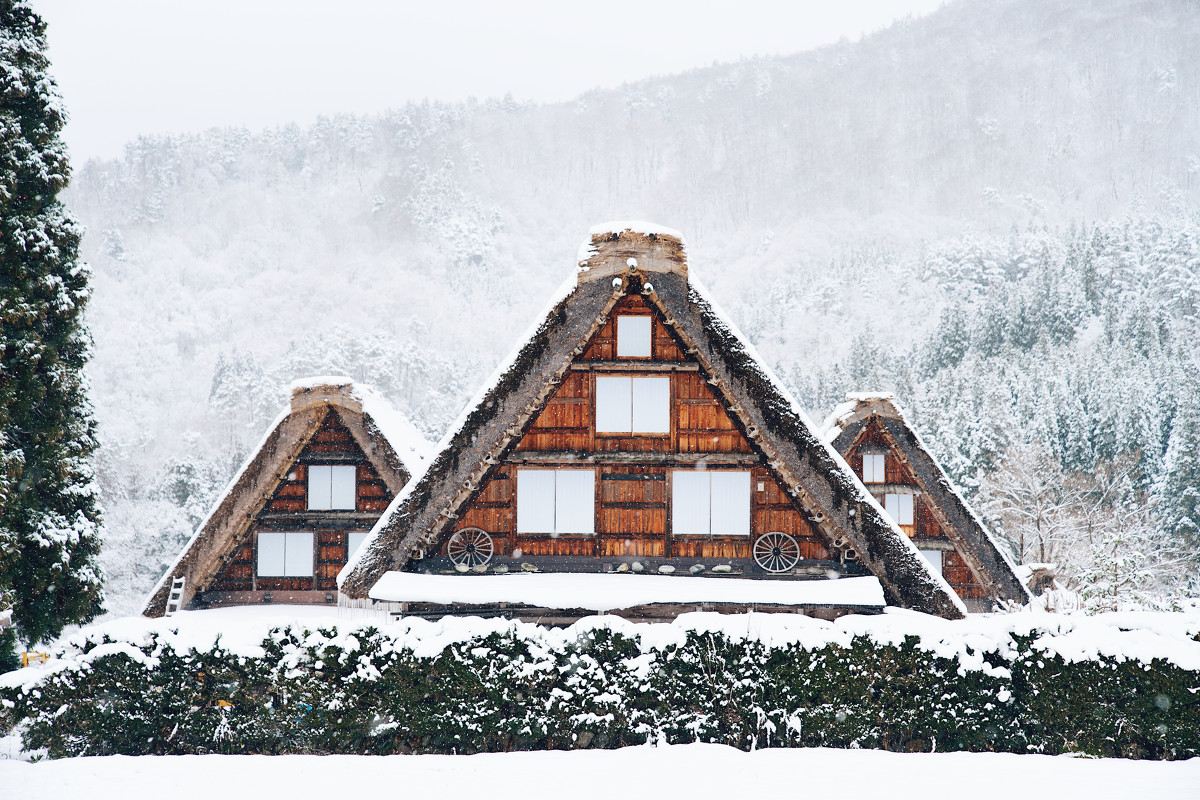 Shirakawa-go Thatched Village & Hida Takayama Tour from Nagoya