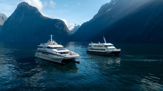 New Zealand Milford Sound / Piopiotahi 1-day tour with gem/princess cruise + panoramic bus + lunch