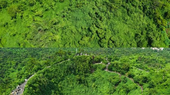 海口專車接駁【限定親子遊】火山群世界地質園+科普館+火山溶洞