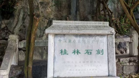 Guilin Half-Day Adventure: Reed Flute Cave & Fubo Hill with Hotel Transfers