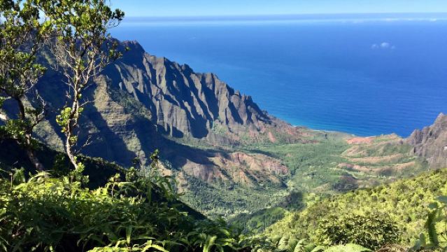 Lawatan Sehari dengan Sewaan Peribadi ke Lembah Waimea + Taman Negeri Kokee + Menara Pemerhati Kalalau di Pulau Kauai, Amerika Syarikat