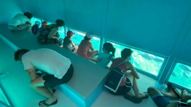 Кап-Норфе: 2,5-часовая экскурсия на лодке со стеклянным дном из Росеса или Санта-Маргариты.