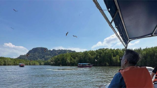 ランカウイのマングローブ+コウモリ洞窟+ワシの餌付け+ビーチでの水泳