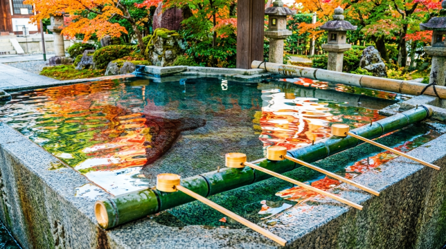 Beppu Sea Hell & Yufuin Forest Train Day Tour