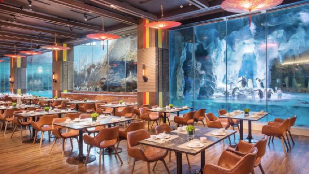 Zhuhai Chimelong Penguin Hotel Emperor Penguin Buffet Restaurant 2-person/3-person Meal Voucher Breakfast/Lunch/Dinner
