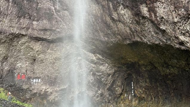 From Wenzhou: 1-day tour to Yandang Mountain [Private Charter | Bilingual Guide]