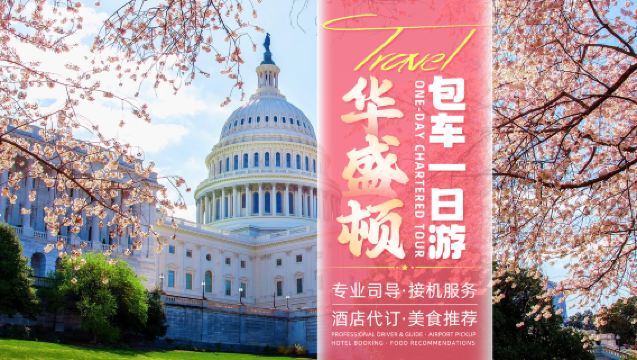 [Excursión de un día en Washington D.C. con servicio de coche privado con conductor] Capitolio de los Estados Unidos + Museo Nacional del Aire y el Espacio de Estados Unidos + Monumento a Abraham Lincoln | 10 horas de servicio | Conductor-guía en chino e inglés | Personalizable