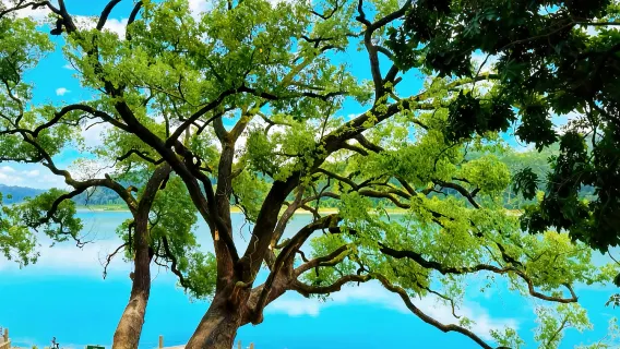 Guangzhou to Dongguan Private Day Trip: Ancient Villages, Ecological Park & Keyuan Museum