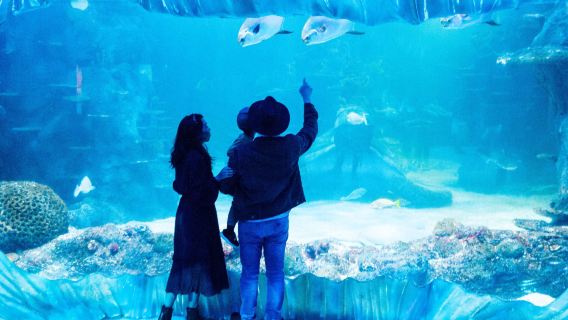 SEA LIFE Sydney Aquarium experience [includes admission ticket & keeper guide]
