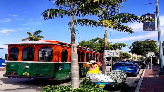 Miami + Little Havana + Taman Teluk, Amerika Syarikat - Lawatan Sehari / Itinerari Boleh Disesuaikan - Boleh Dikustomisasi
