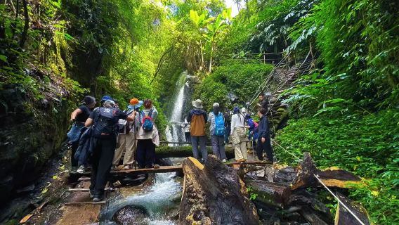 Trekking hutan hujan Amimo yang unik di Gunung Gaoligong, Tengchong + Dapur Belantara + Air Panas Cuanglong